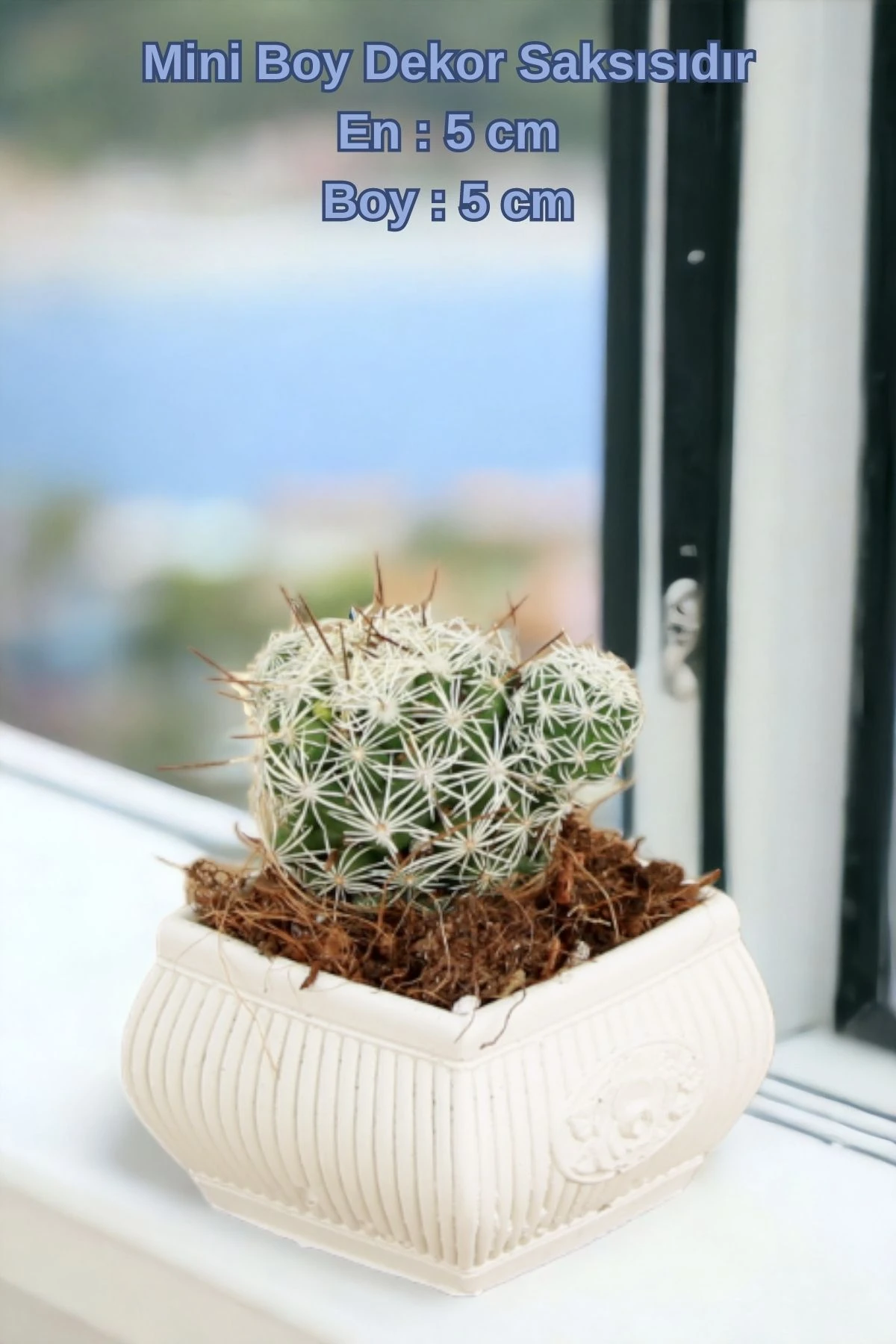 El Yapımı Saksı Beyaz Dekoratif Saksı Küçük Boy Model 22