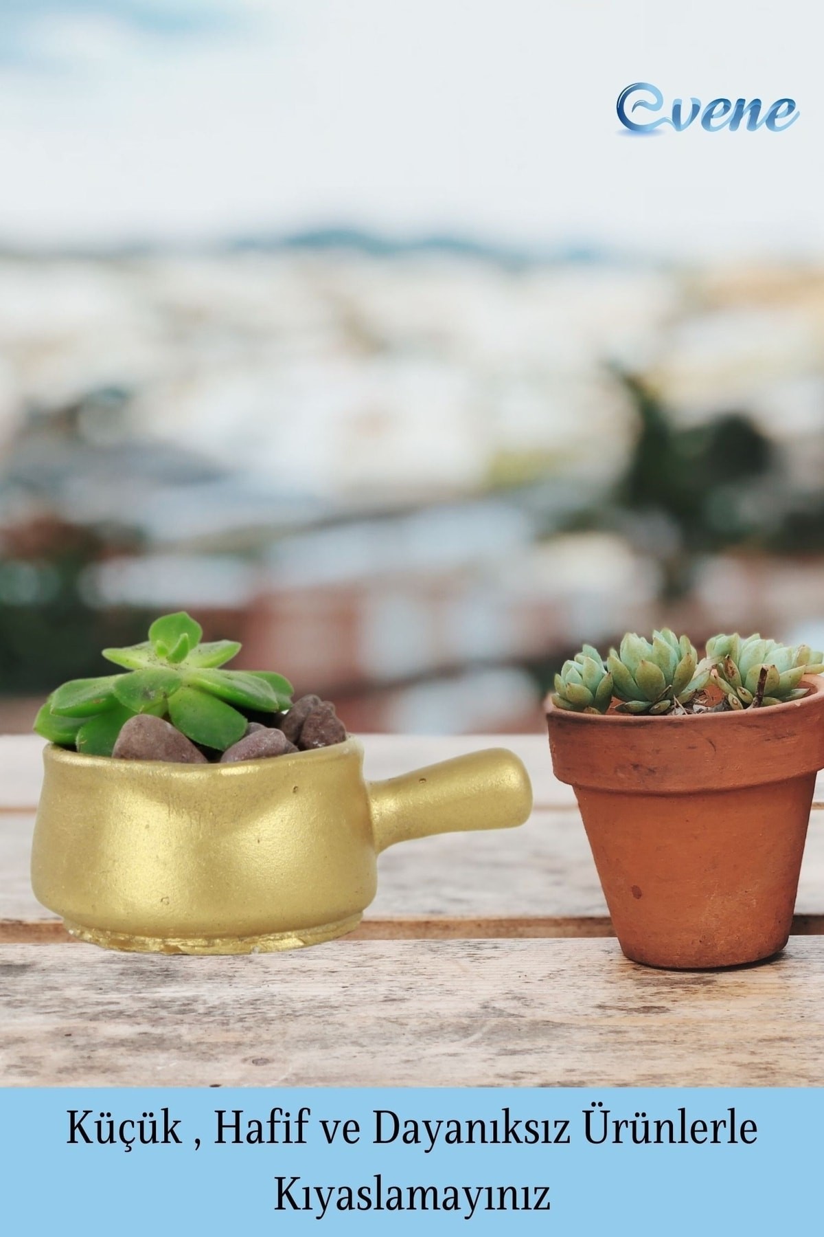 Mini Çiçek Saksı Küçük Sukulent Altın Kaktüs Saksısı Tava Model