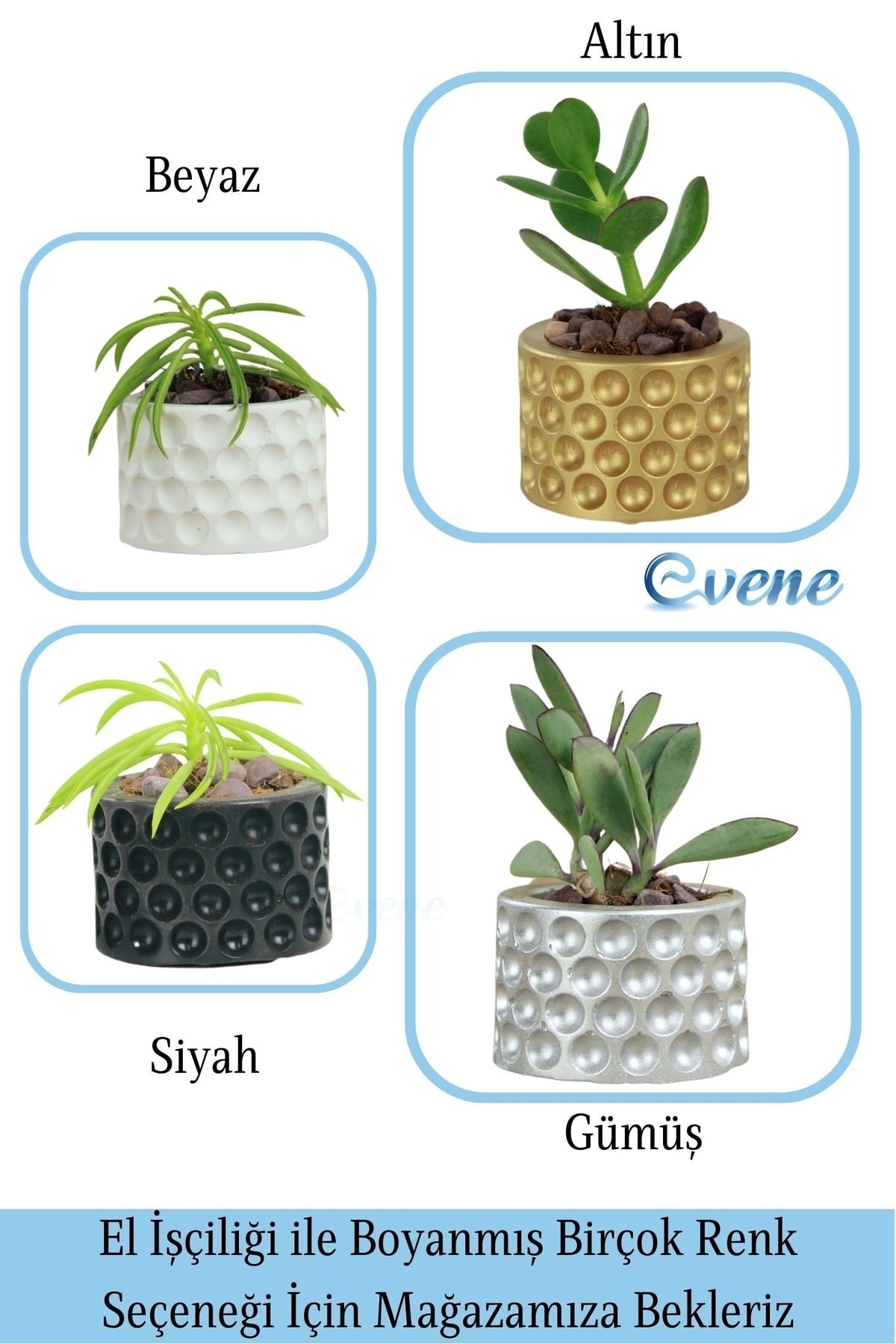 Gümüş thumbnail image
