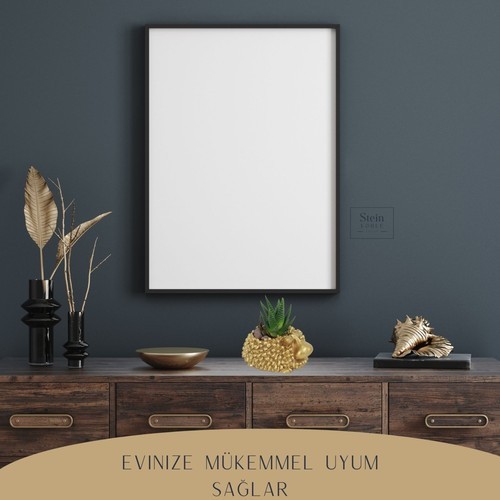 Stein Kohle Dekoratif Saksı Minik Kaktüs Saksısı Deniz Salyangozu Model