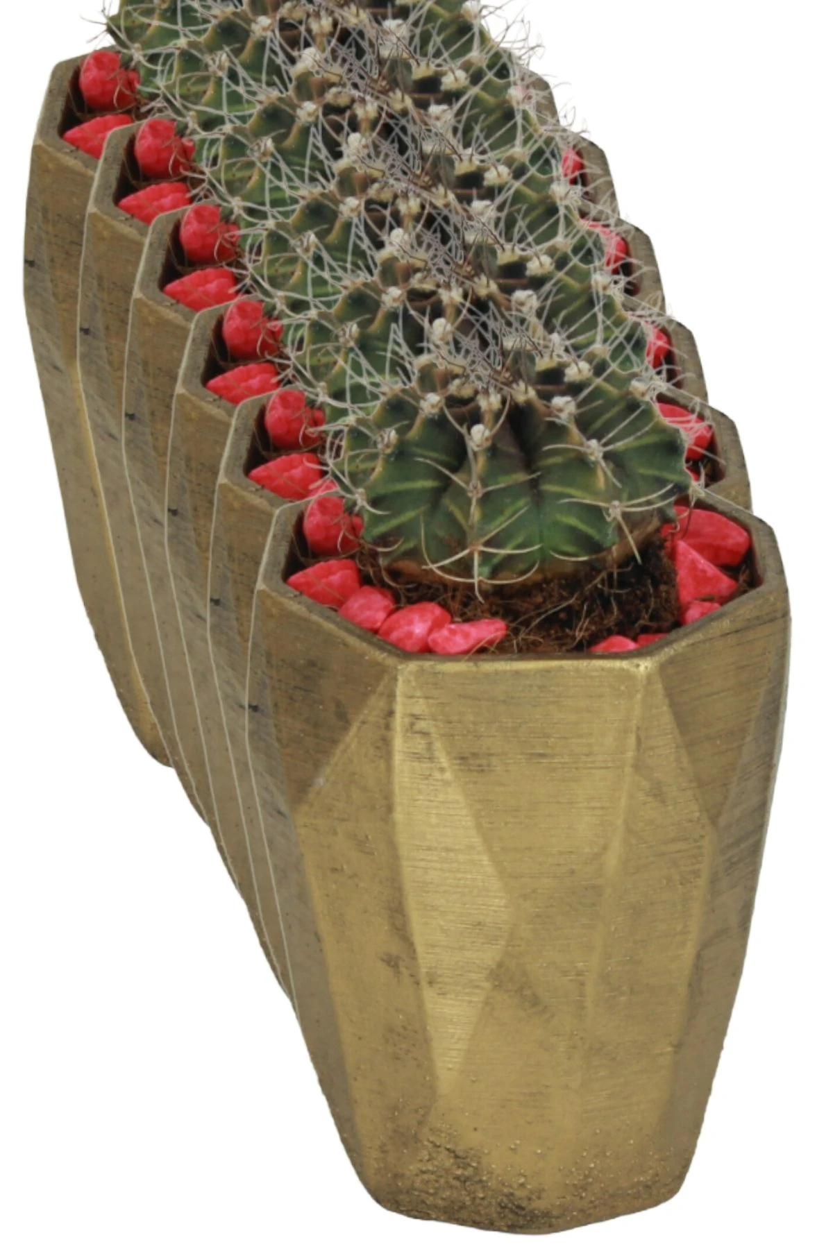 ALTIN ESKİTME thumbnail image