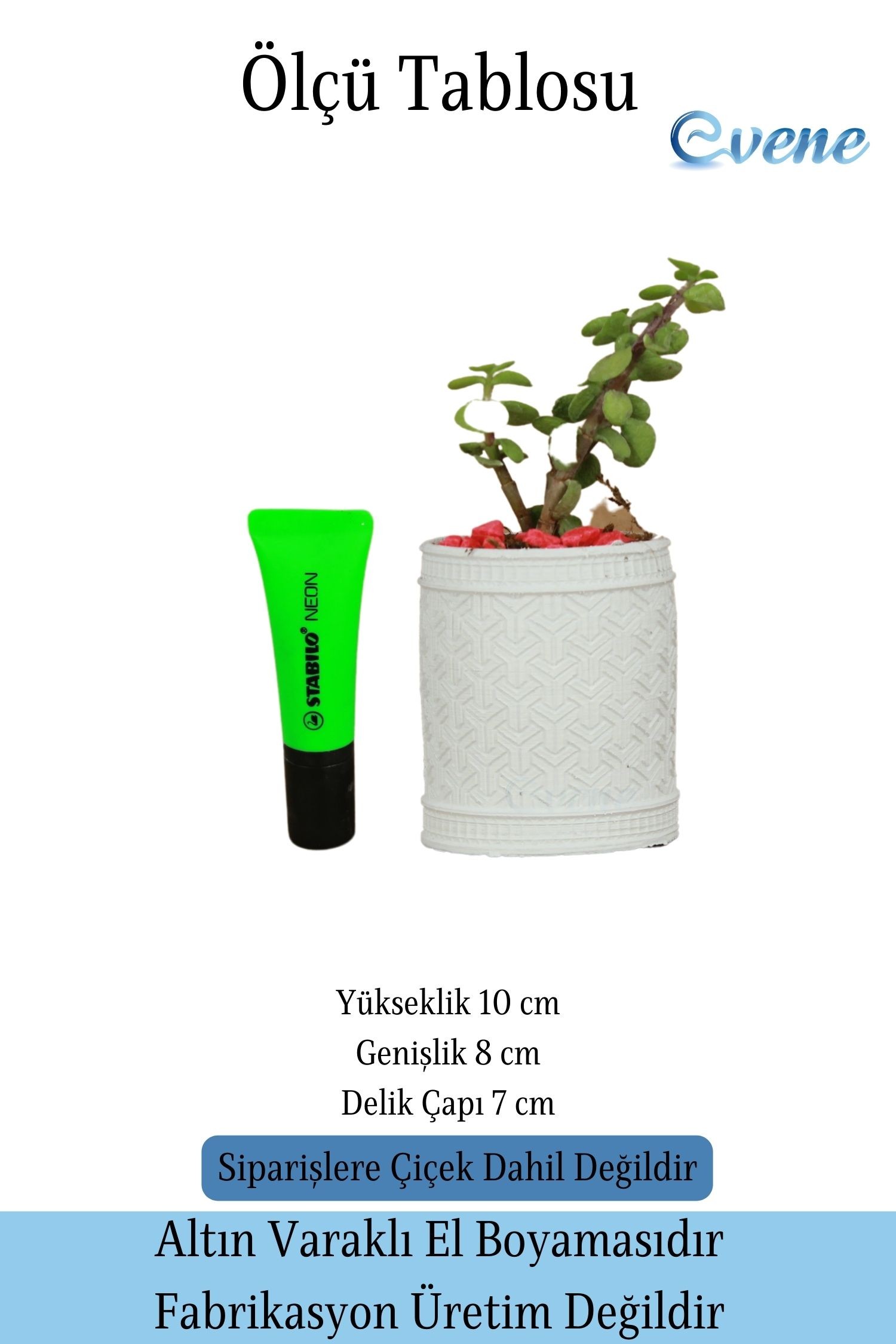 Saksı Kaktüs Saksısı Dekoratif Saksı Model Y