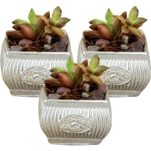Stein Kohle Dekoratif Saksı Minik Kaktüs Saksısı Mini Çizgili Çiçekli Model
