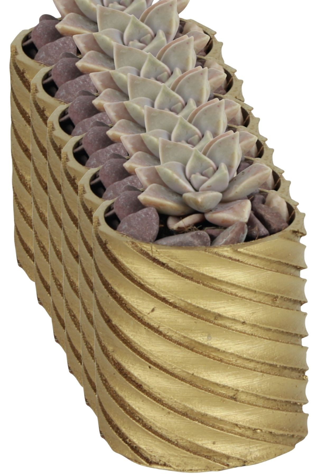 Altın thumbnail image