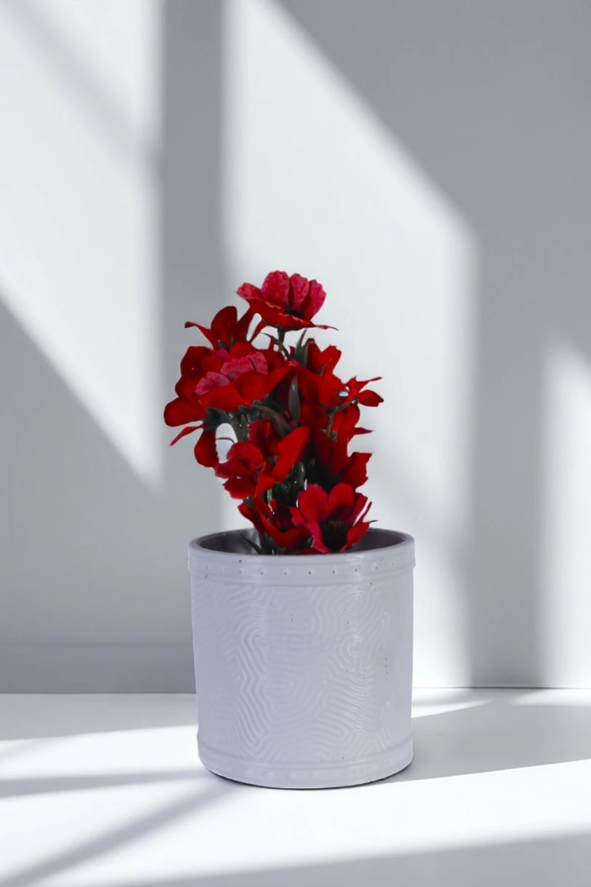 Beyaz thumbnail image