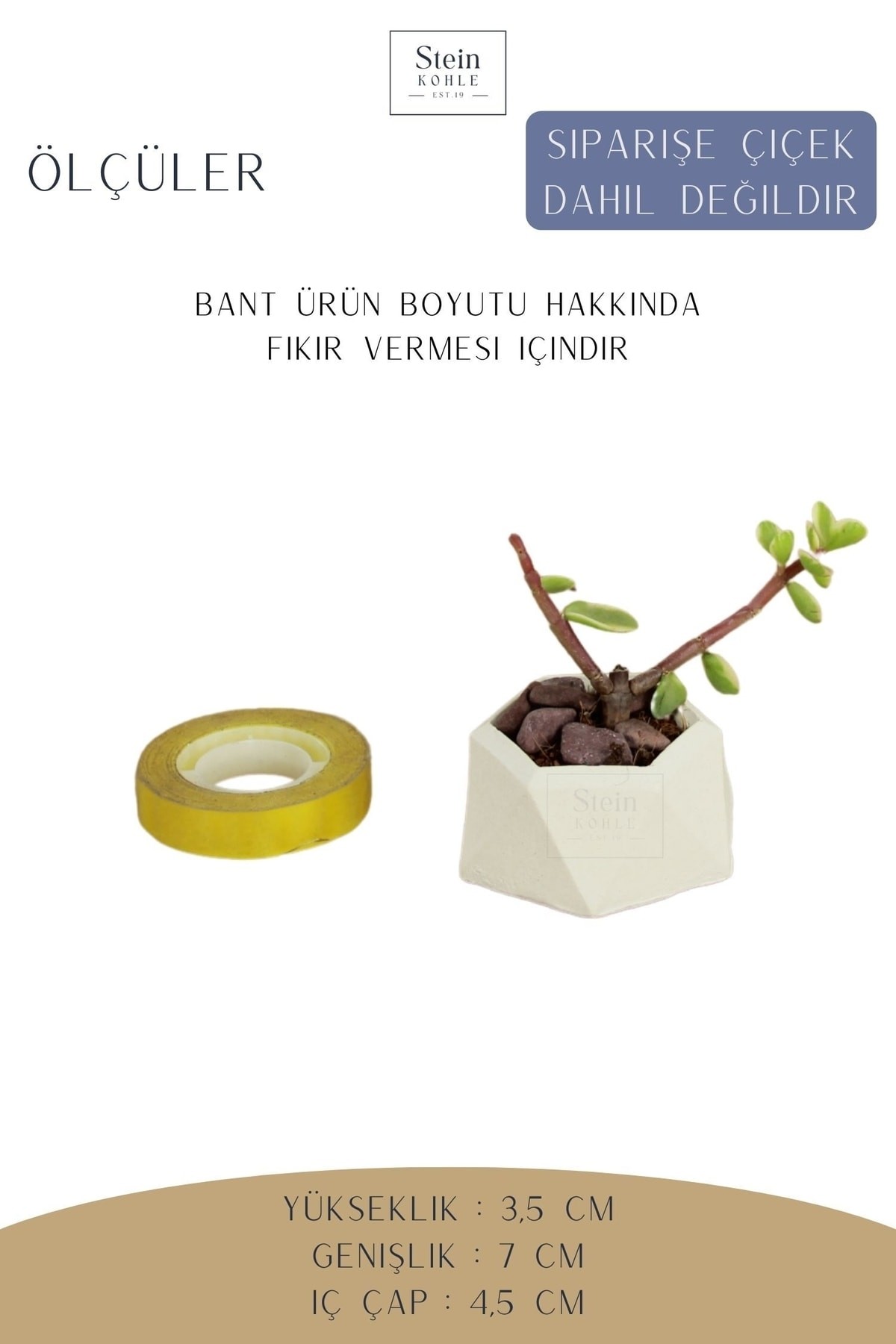 Beyaz thumbnail image