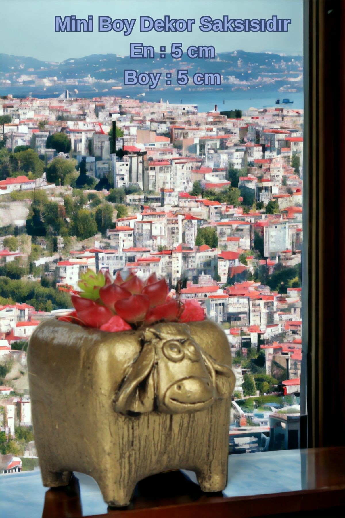 Siyah - Altın thumbnail image