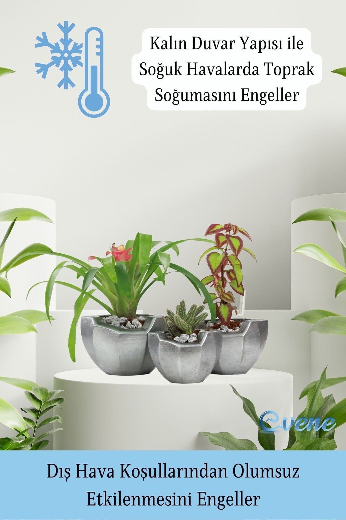 Saksı Çiçek Kaktüs Saksısı Lüx 15 Cm Gümüş Eskitme Varak Boyalı Önü Açık Desen Saksı Çiçeklik