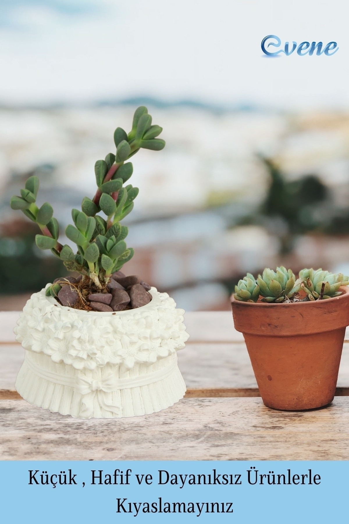 Mini Çiçek Saksı Küçük Sukulent Beyaz Kaktüs Saksısı Çiçekli Fiyonklu Model