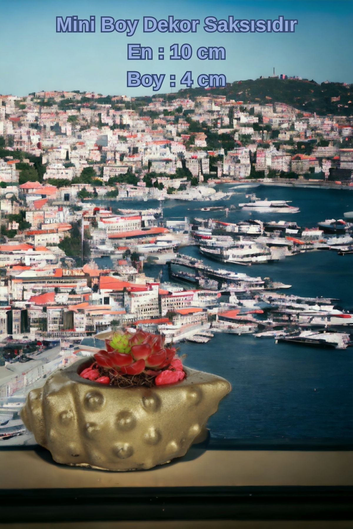 Siyah - Altın thumbnail image