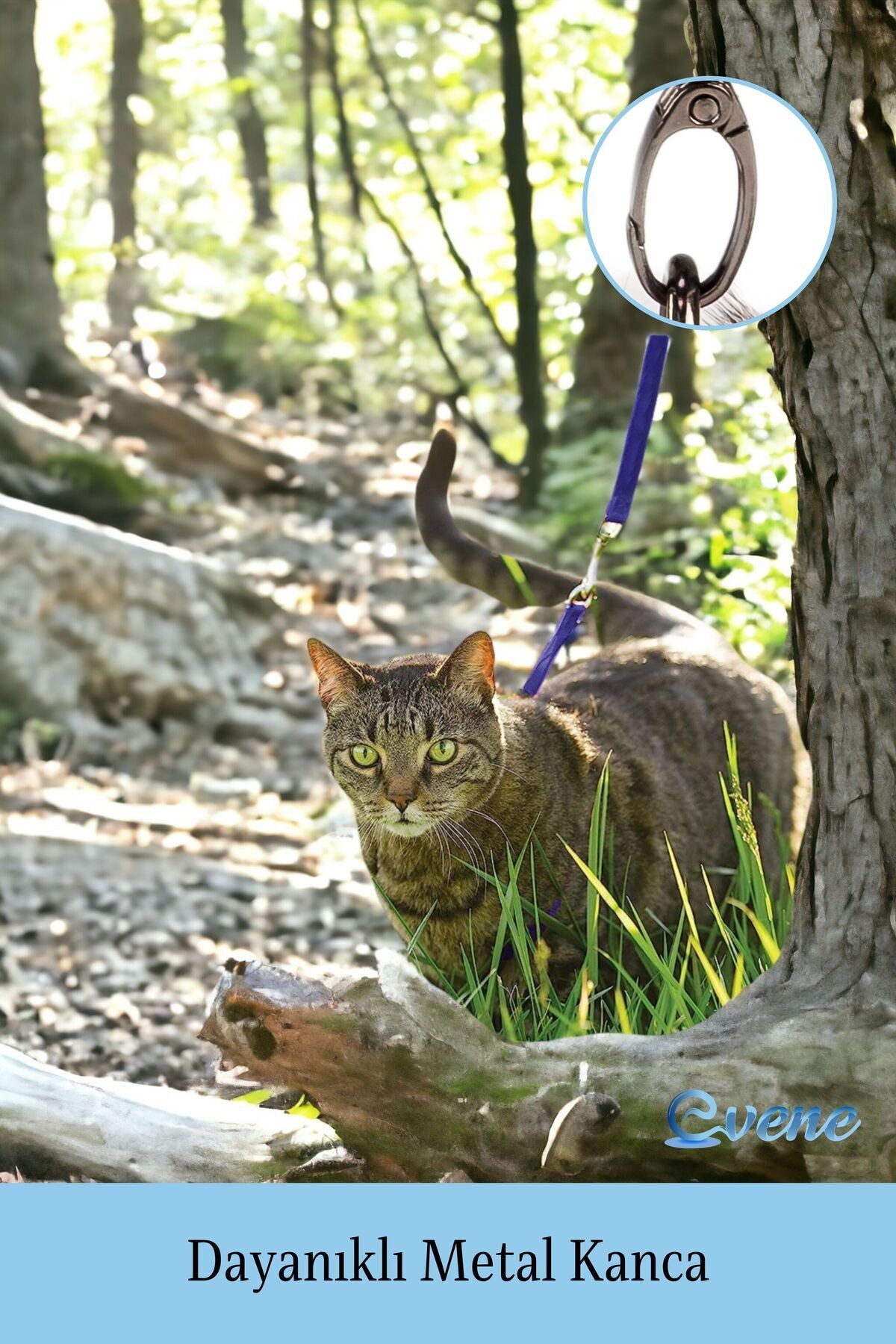 Kedi Tasması Kedi Göğüs Bel Ayarlanabilir Dayanıklı Sağlam Tasma 1 cm İnce Kolon