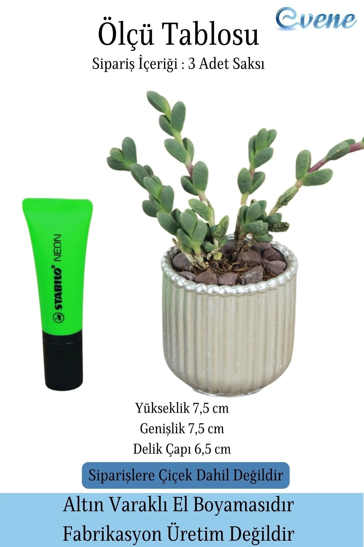 Mini Çiçek Saksı Küçük Sukulent Gümüş Kaktüs Saksısı 3'lü Set Vintage Düz Çizgili Model