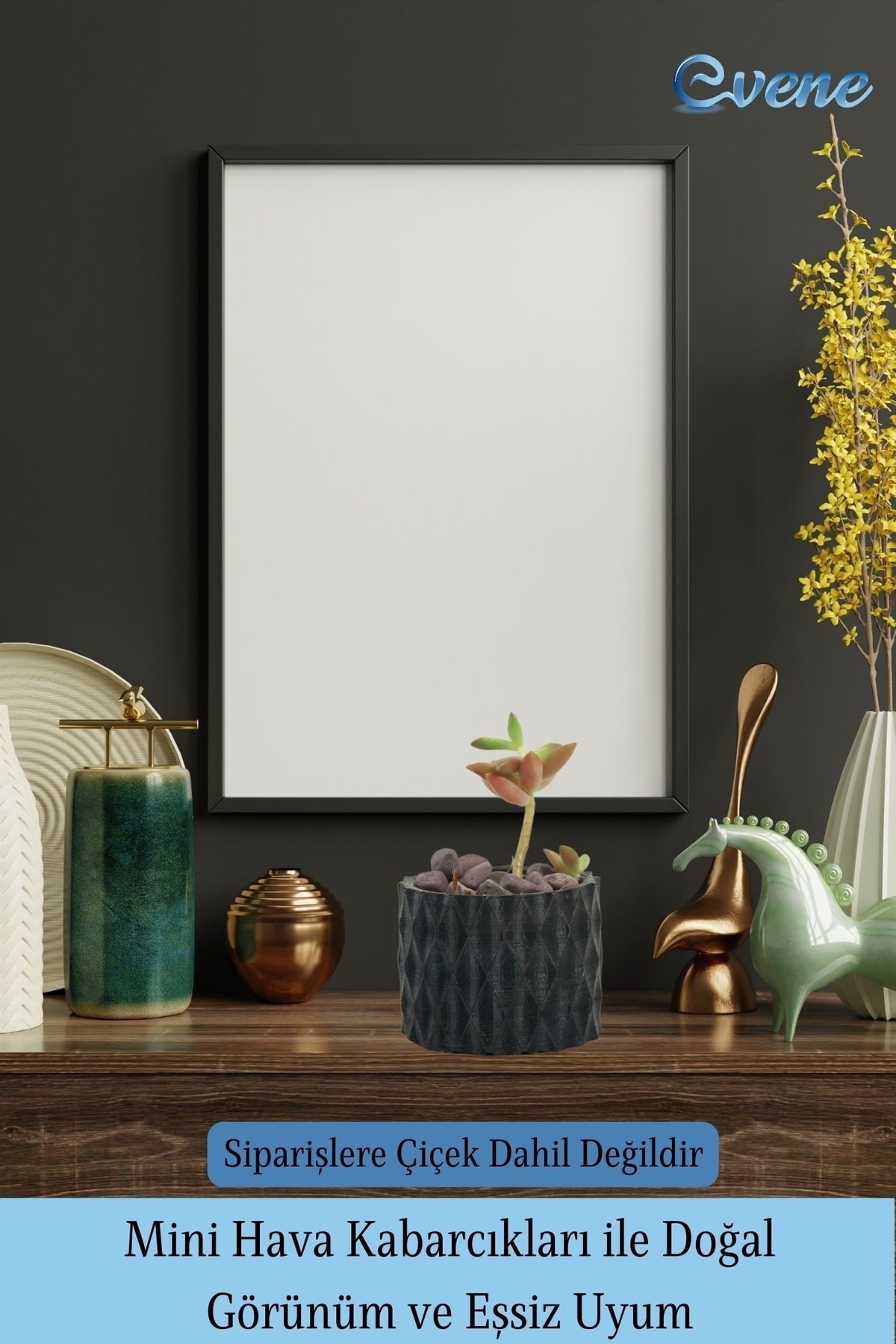 Mini Çiçek Saksı Küçük Sukulent Siyah Kaktüs Saksısı Baklava Çizgili Model