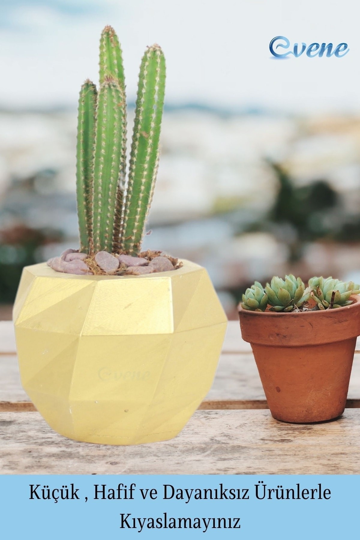 Saksı Çiçek Kaktüs Saksısı Lüx 13 Cm Altın Varak Boyalı Burgu Desen Saksı Çiçeklik