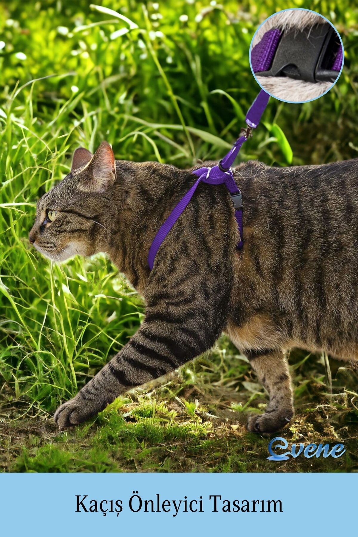 Kedi Tasması Kedi Göğüs Bel Ayarlanabilir Dayanıklı Sağlam Tasma 1 cm İnce Kolon