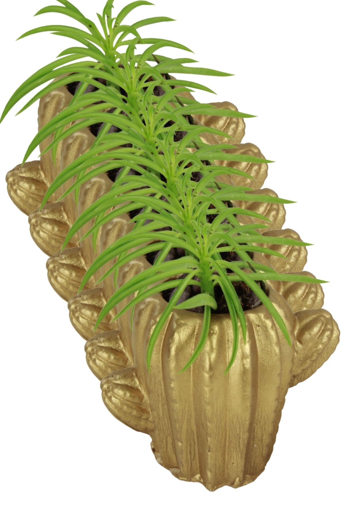 Altın thumbnail image