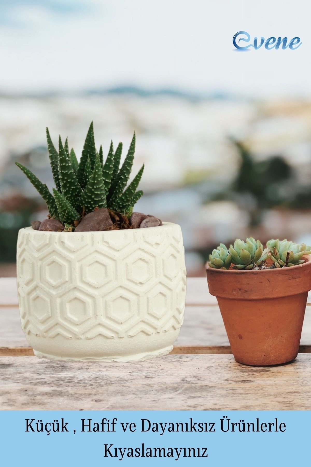 Mini Çiçek Saksı Küçük Sukulent Beyaz Kaktüs Saksısı 3'lü Set Altıgen Model
