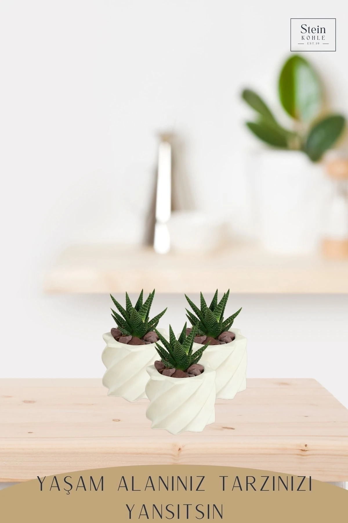 Dekoratif Saksı Minik Kaktüs Saksısı Beyaz Renk 3 Adet Saksı Seti Kalın Yıldız Model