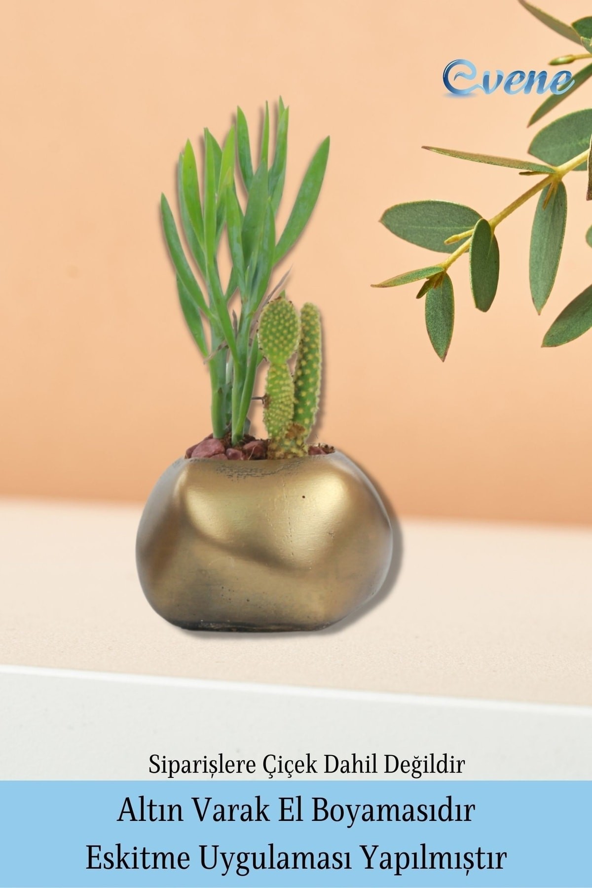 Saksı Çiçek Kaktüs Saksısı Lüx 9 Cm Altın Eskitme Varak Boyalı Elips Desen Saksı Çiçeklik