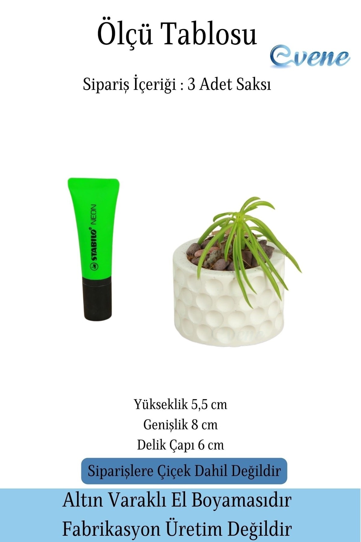 Mini Çiçek Saksı Küçük Sukulent Beyaz Kaktüs Saksısı 3'lü Set Puantiyeli Model