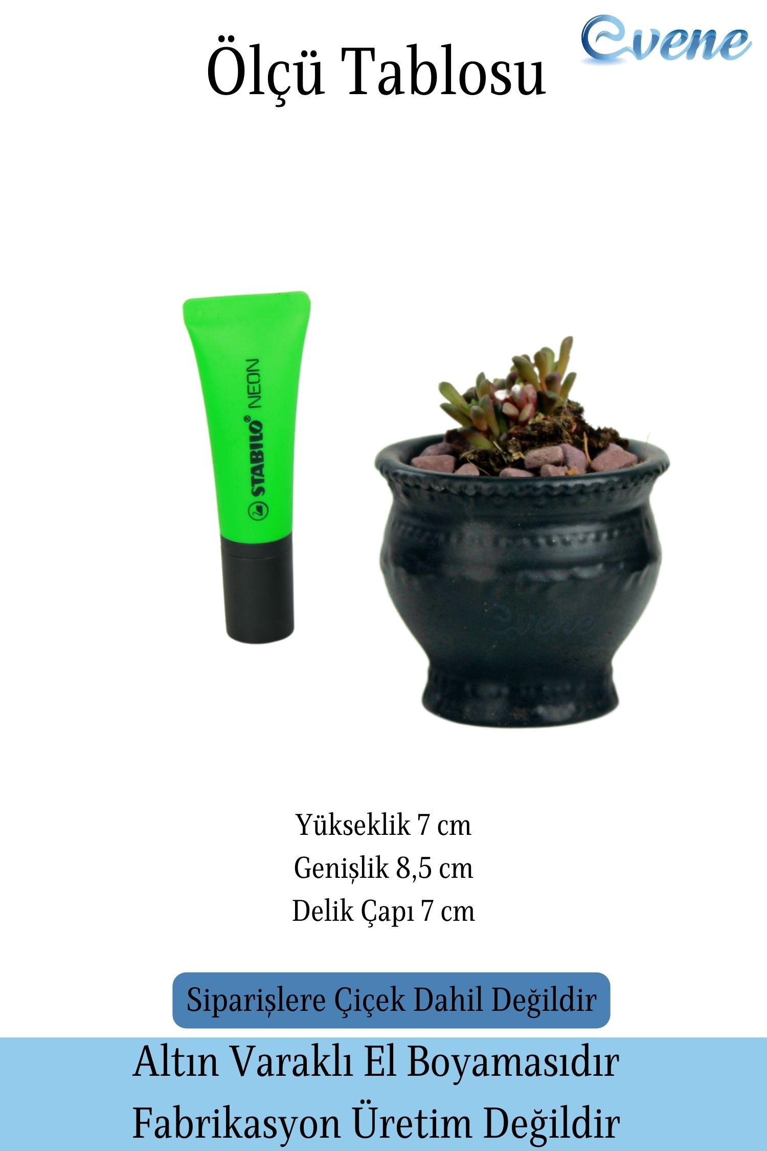 Saksı Kaktüs Saksısı Dekoratif Saksı Model 9