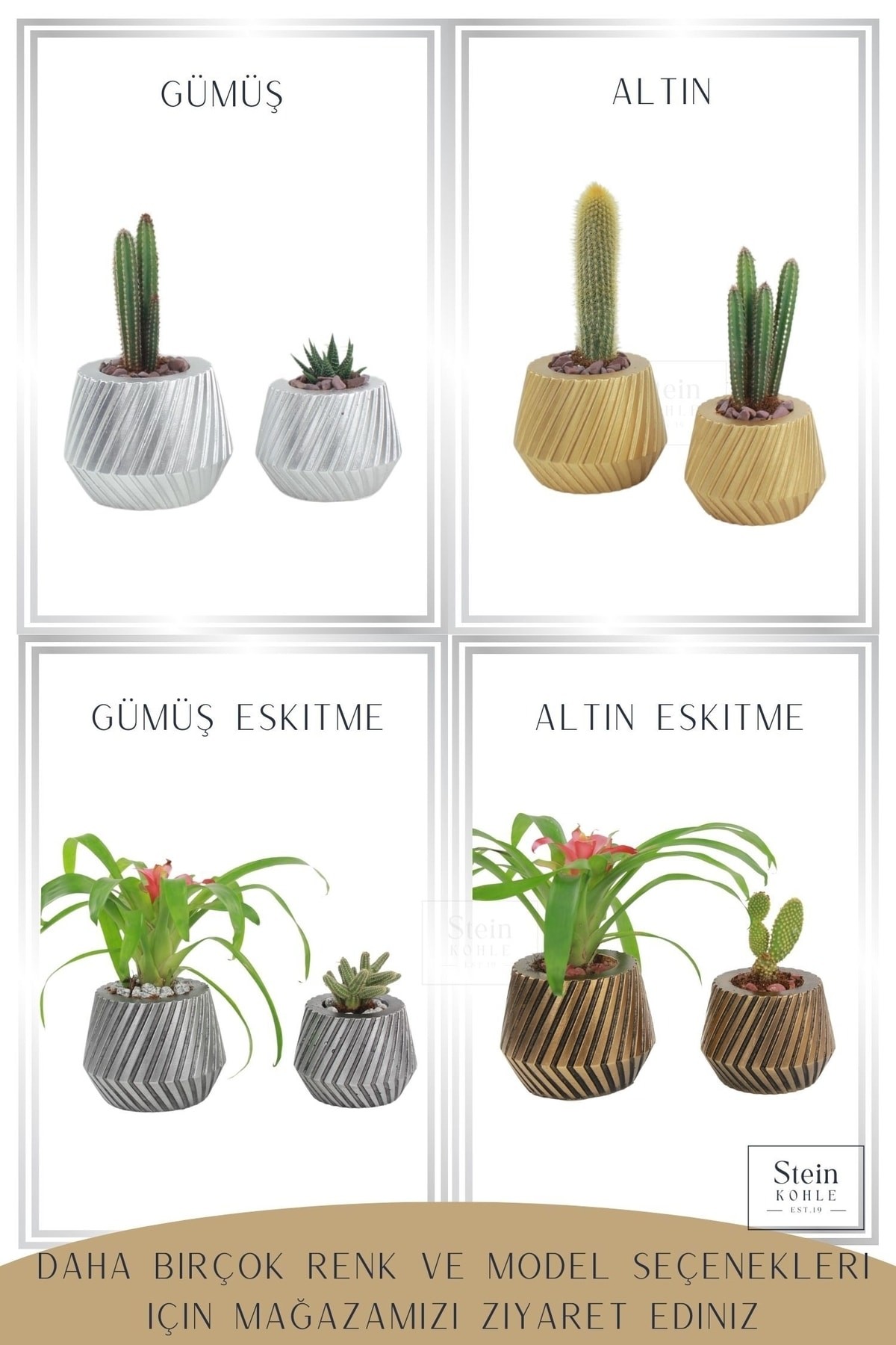 Altın thumbnail image