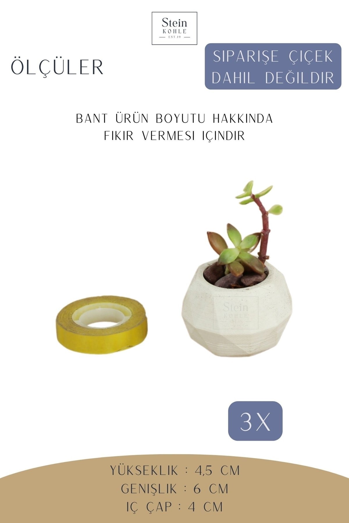Dekoratif Saksı Minik Kaktüs Saksısı Beyaz Renk 3 Adet Saksı Seti Dönen Poly Model