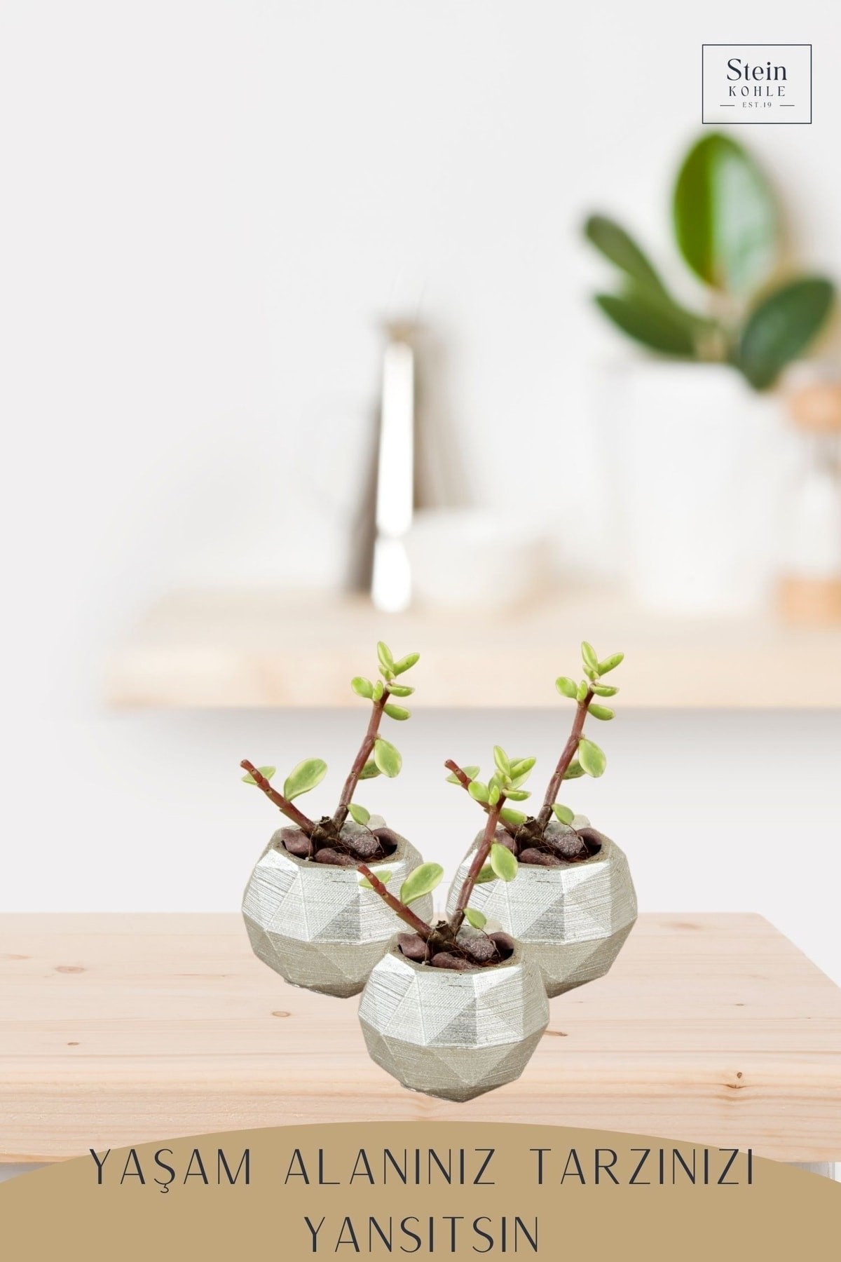 Dekoratif Saksı Minik Kaktüs Saksısı Gümüş Renk 1 Adet Dönen Poly Model