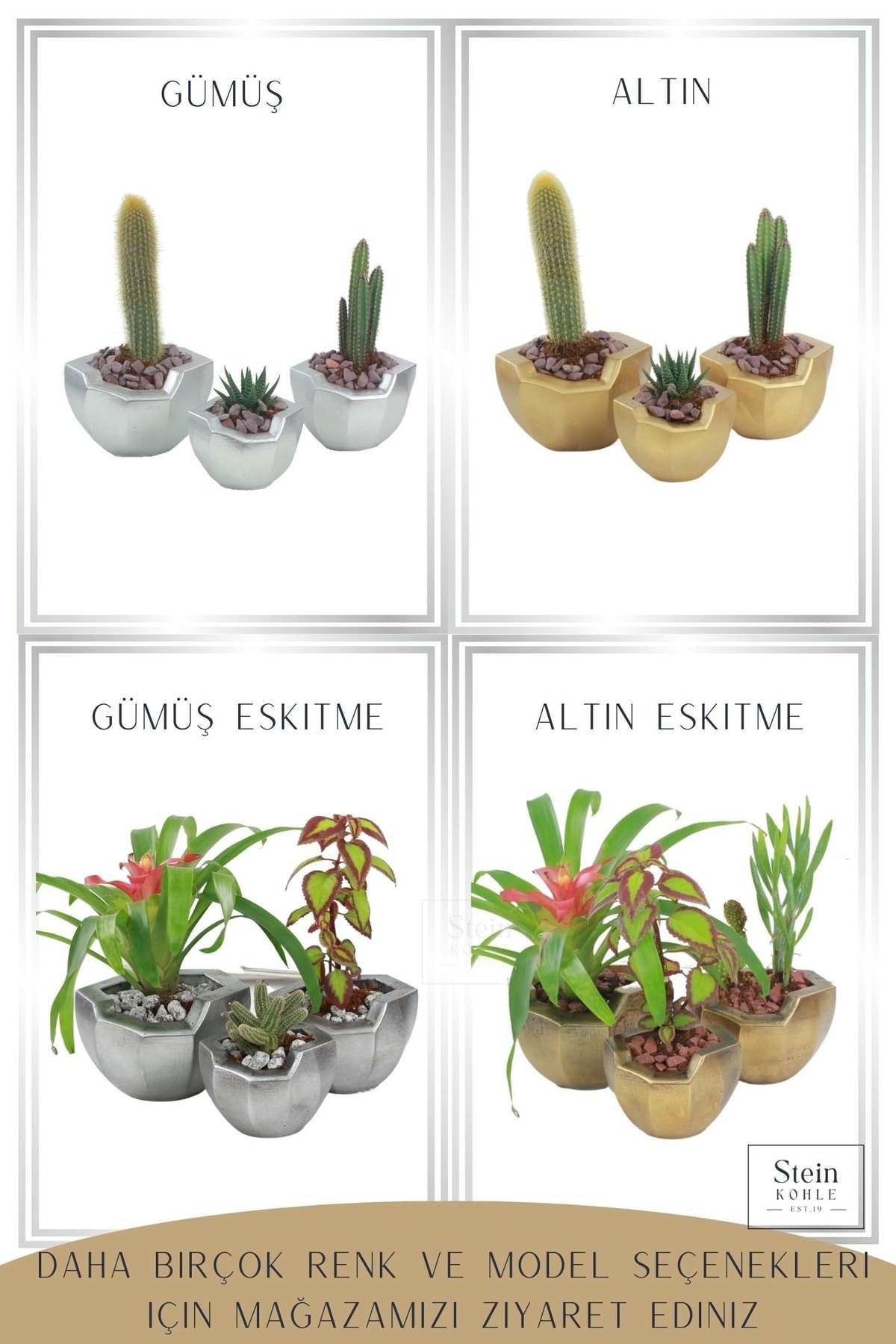 Gümüş thumbnail image