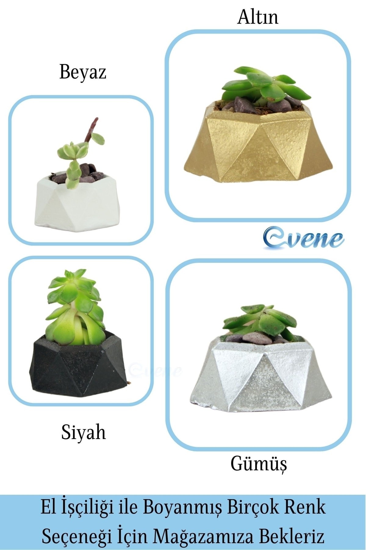 Mini Çiçek Saksı Küçük Sukulent Altın Kaktüs Saksısı Mini Poly 2 Model