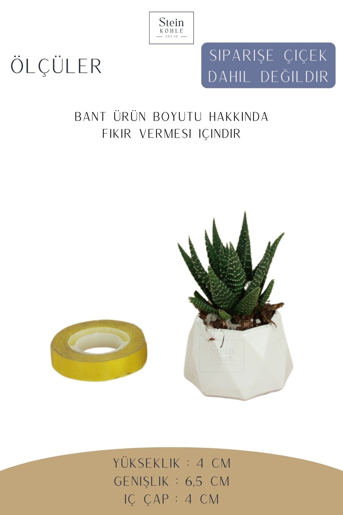 Dekoratif Saksı Minik Kaktüs Saksısı Beyaz Renk 1 Adet Mini Poly 1 Model
