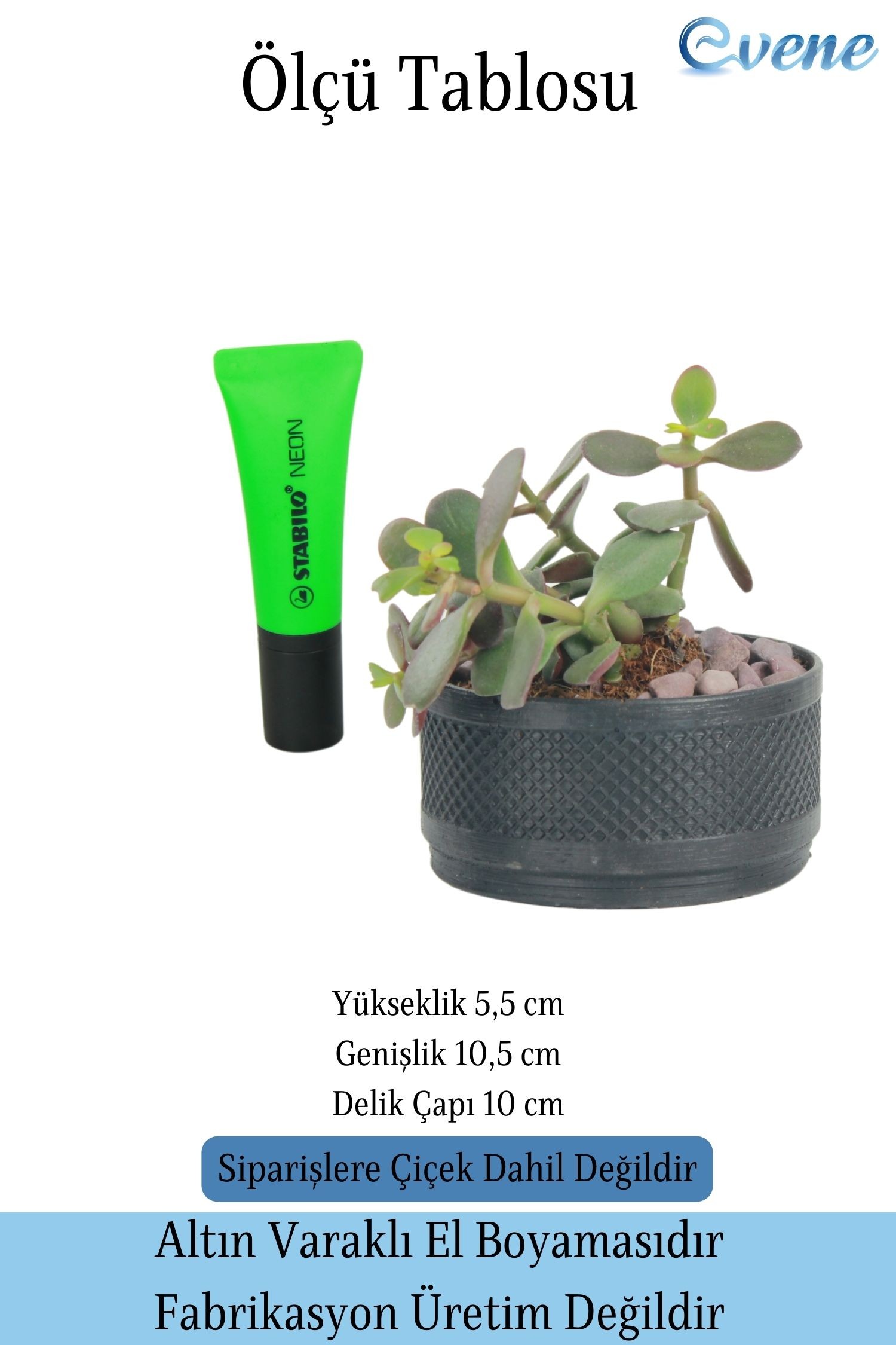 SİYAH thumbnail image