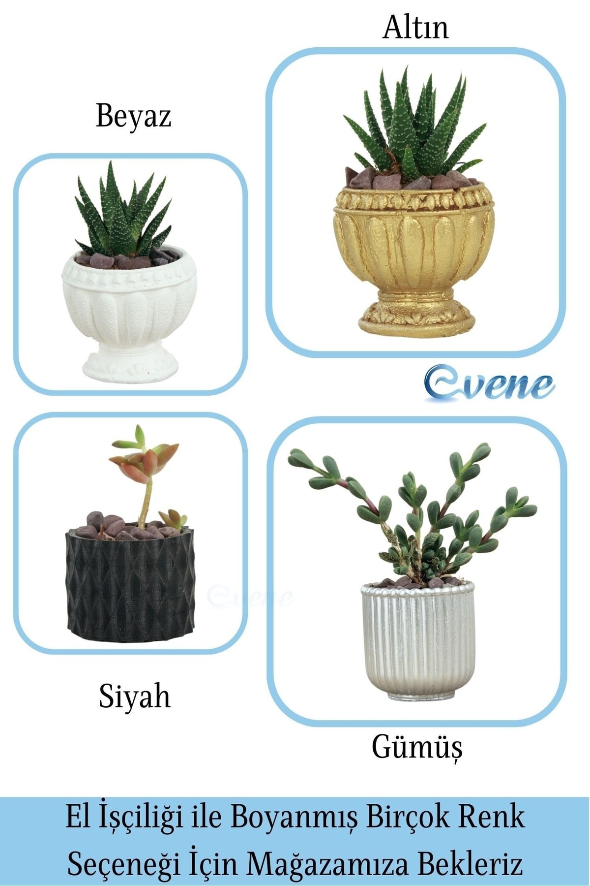 Mini Çiçek Saksı Küçük Sukulent Siyah Kaktüs Saksısı Baklava Çizgili Model