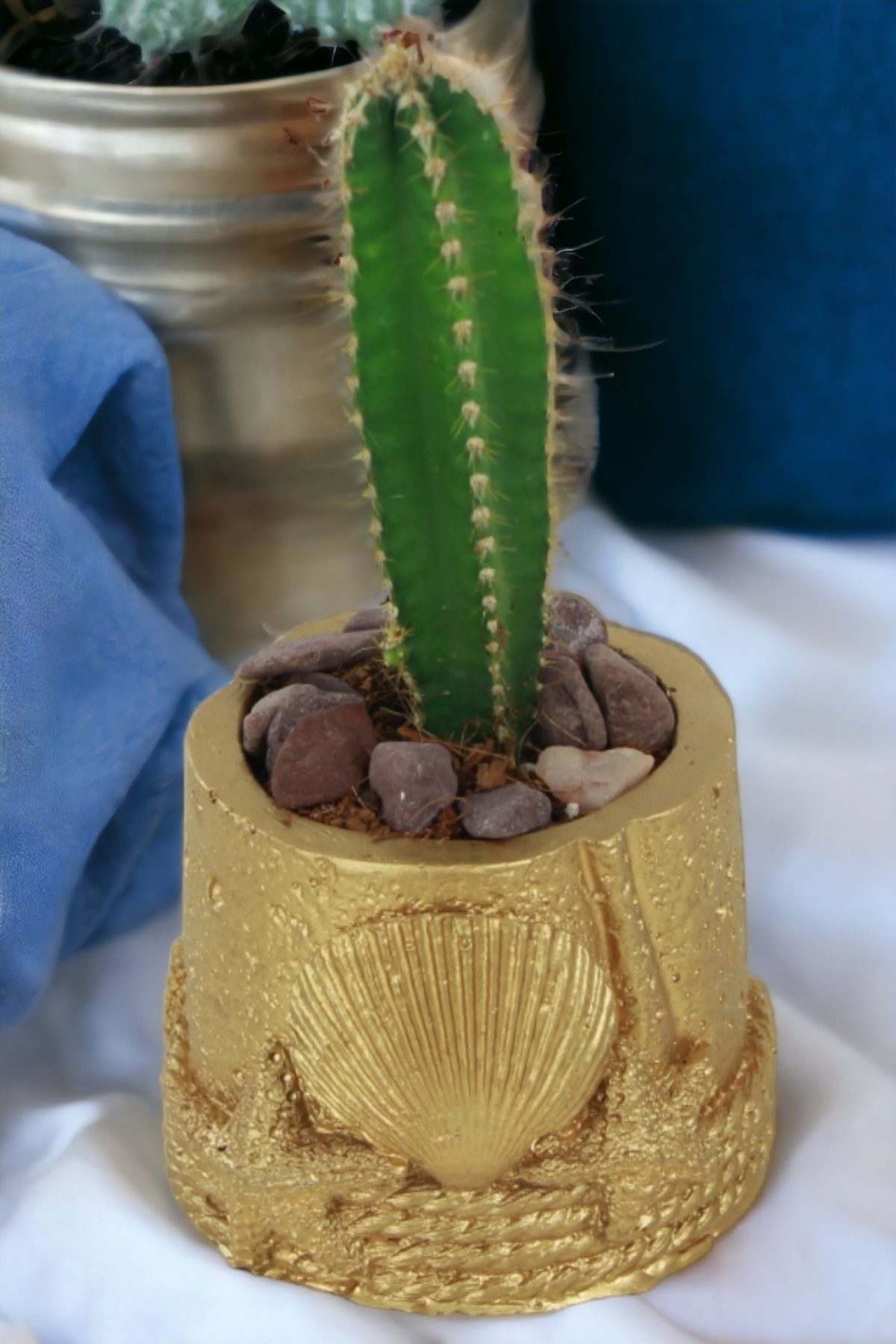 Altın thumbnail image