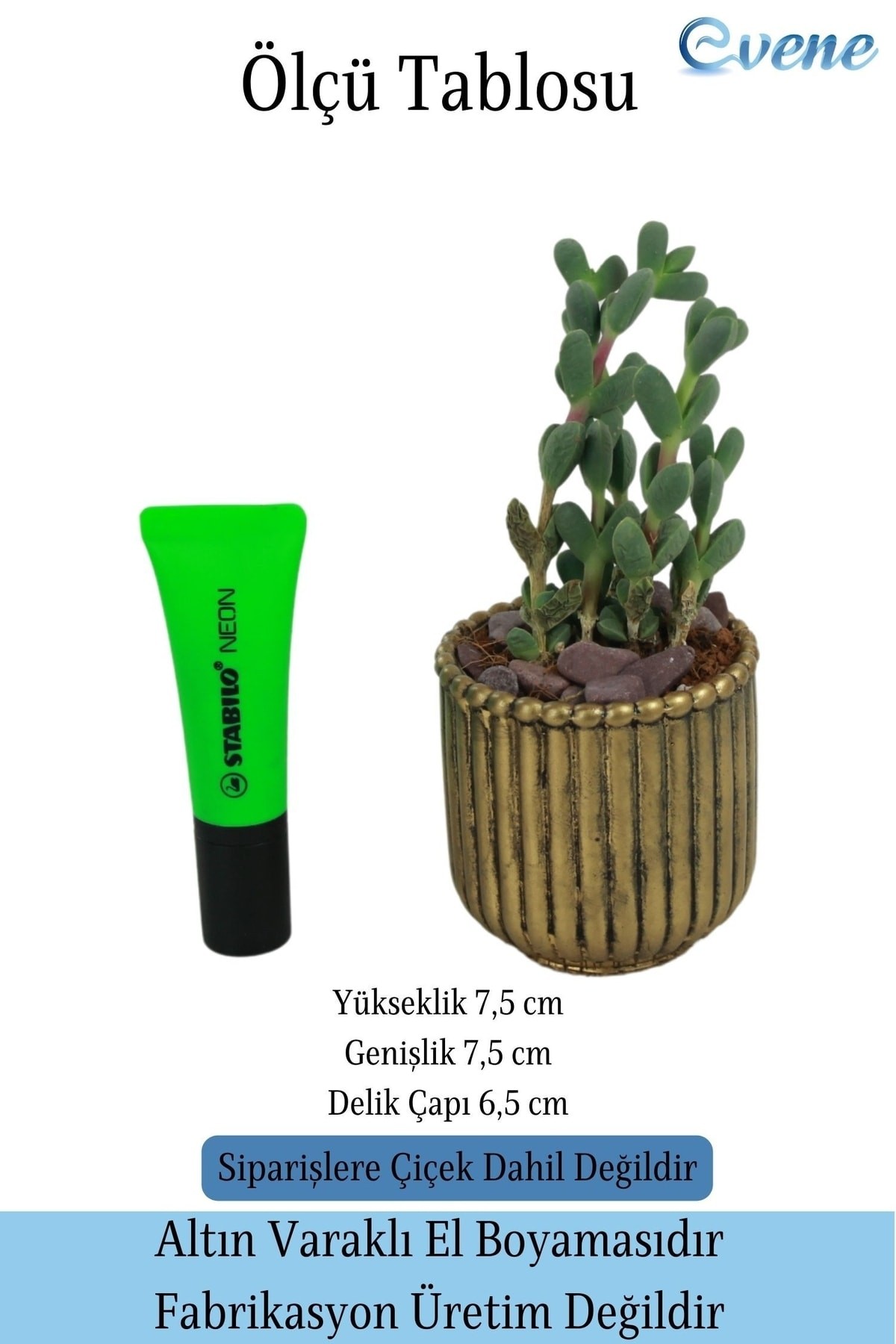 Mini Çiçek Saksı Küçük Sukulent Altın Eskitme Kaktüs Saksısı Vintage Düz Çizgili Model