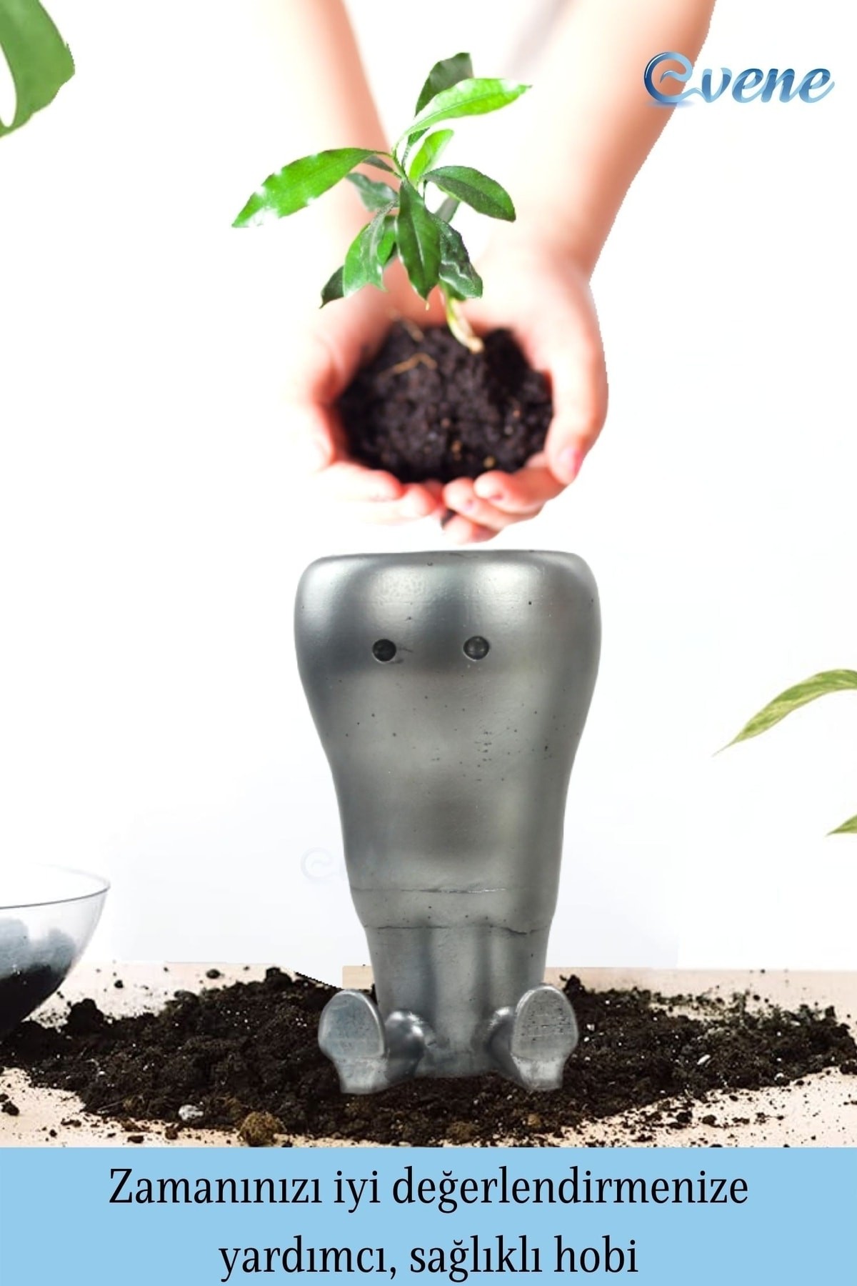 Saksı Çiçek Kaktüs Saksısı Lüx 12 Cm Gümüş Eskitme Varak Boyalı Havuç Desen Saksı Çiçeklik