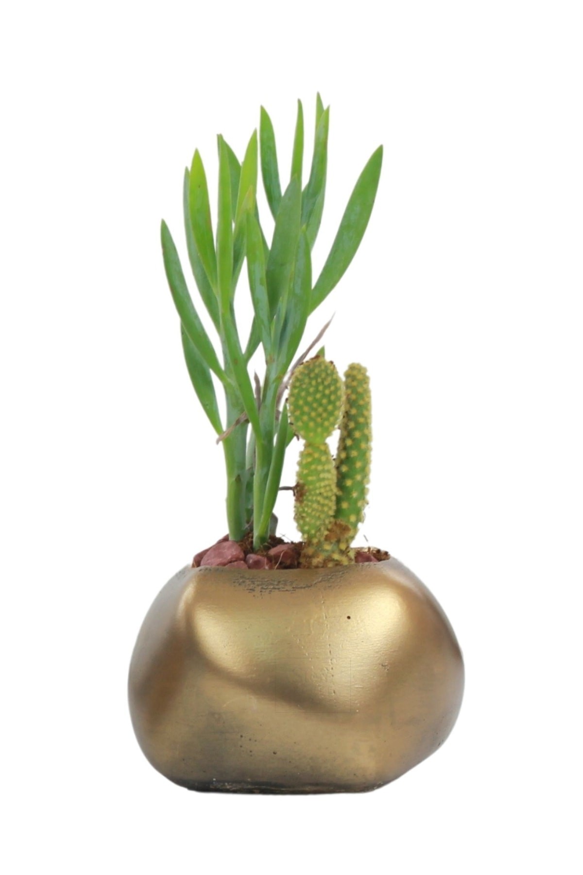 Çiçek Saksısı Dekoratif Kaktüs Saksı 1 Adet Altın Renk Eskitme Uygulamalı Spiral Oval Model