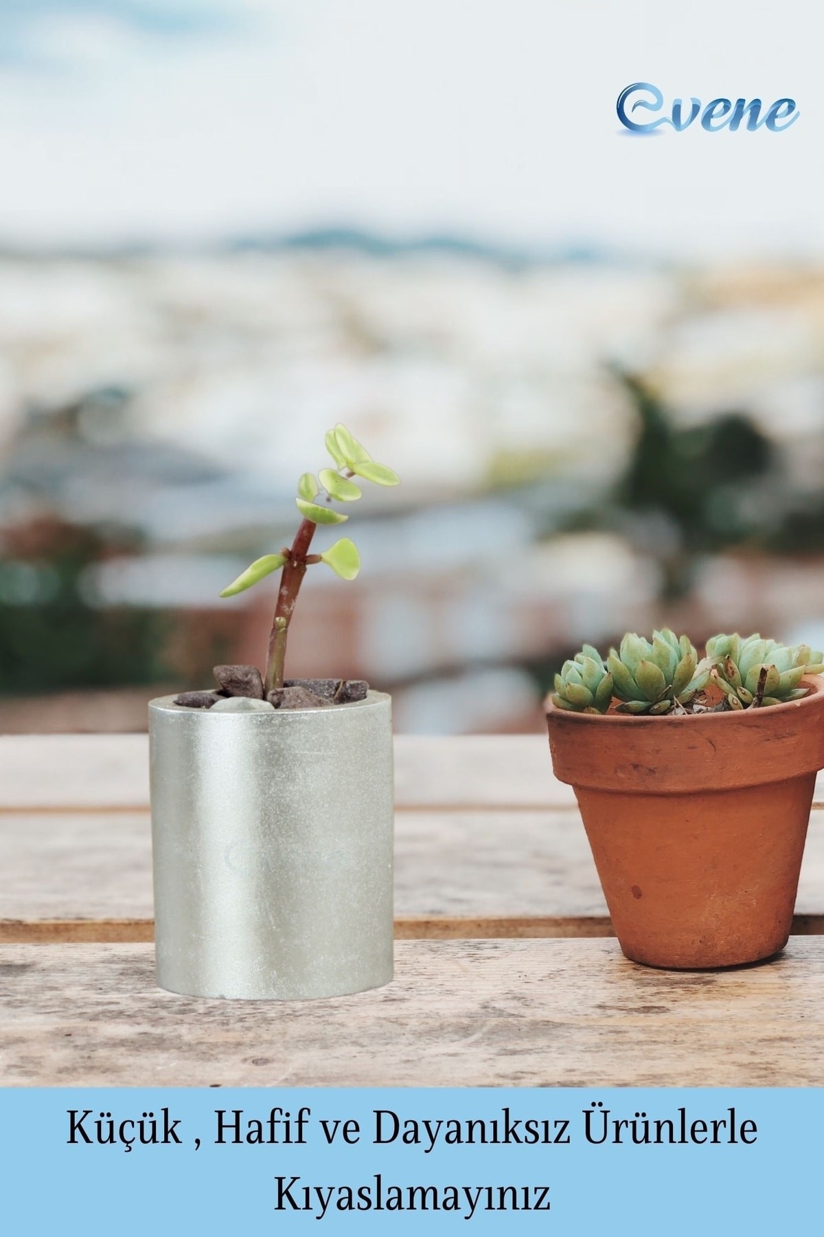 Mini Çiçek Saksı Küçük Sukulent Gümüş Kaktüs Saksısı 3'lü Set Düz Yuvarlak Model