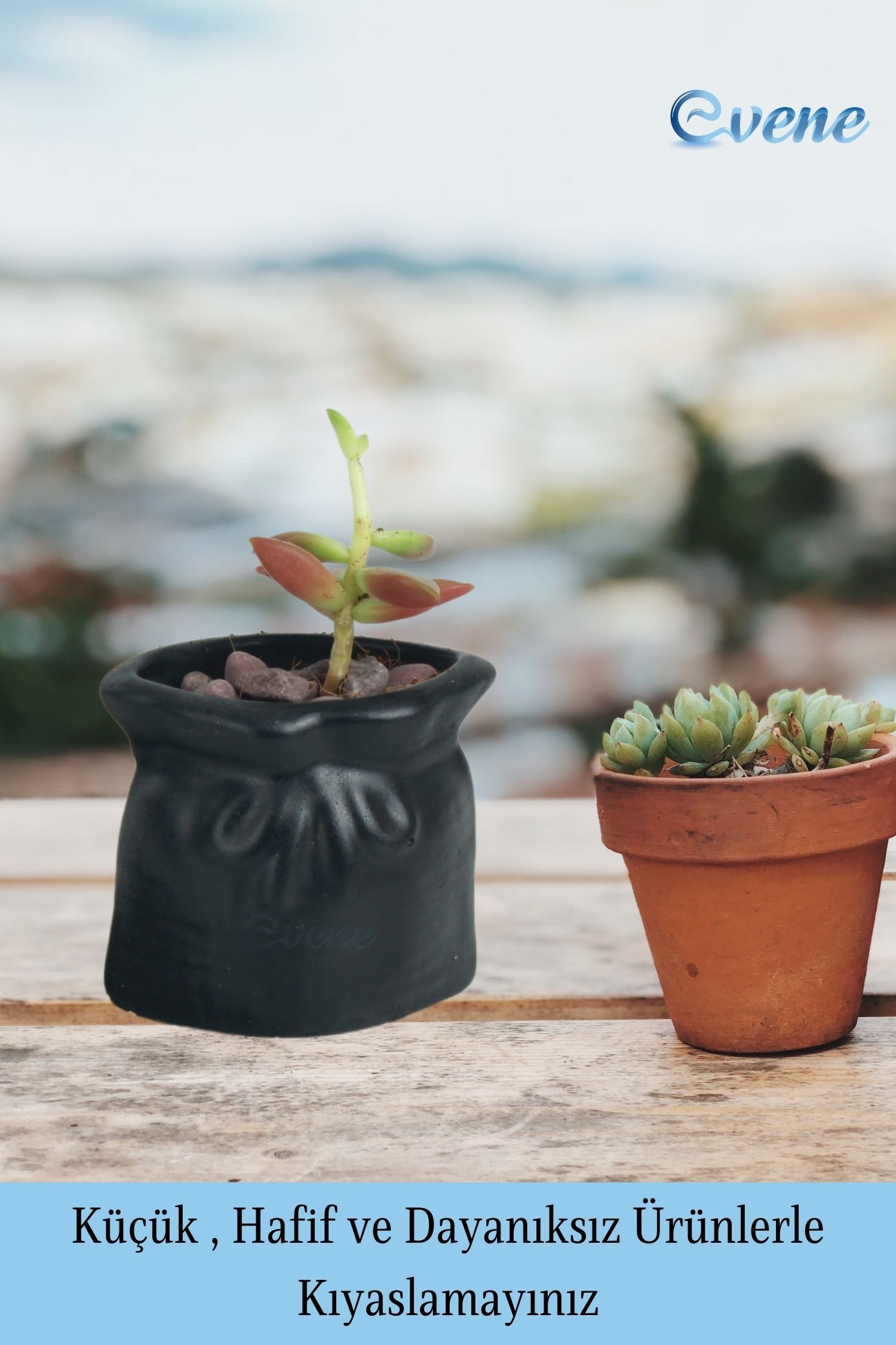 Mini Çiçek Saksısı Küçük Sukulent Siyah Kaktüs Saksı Kese Model