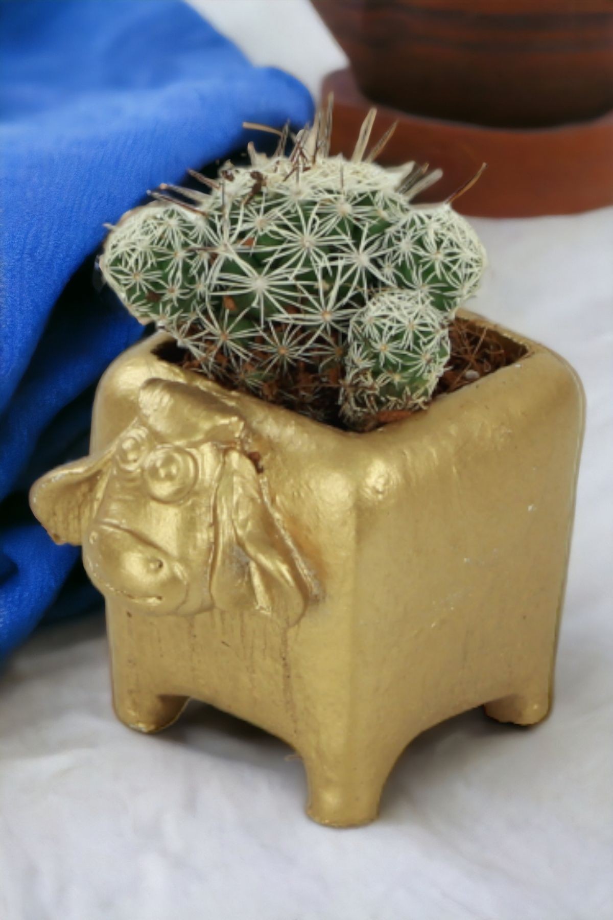 Altın thumbnail image