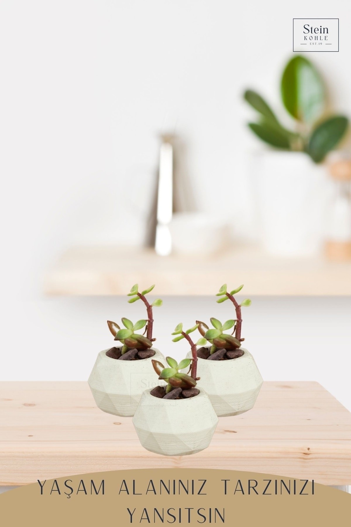 Dekoratif Saksı Minik Kaktüs Saksısı Beyaz Renk 3 Adet Saksı Seti Dönen Poly Model