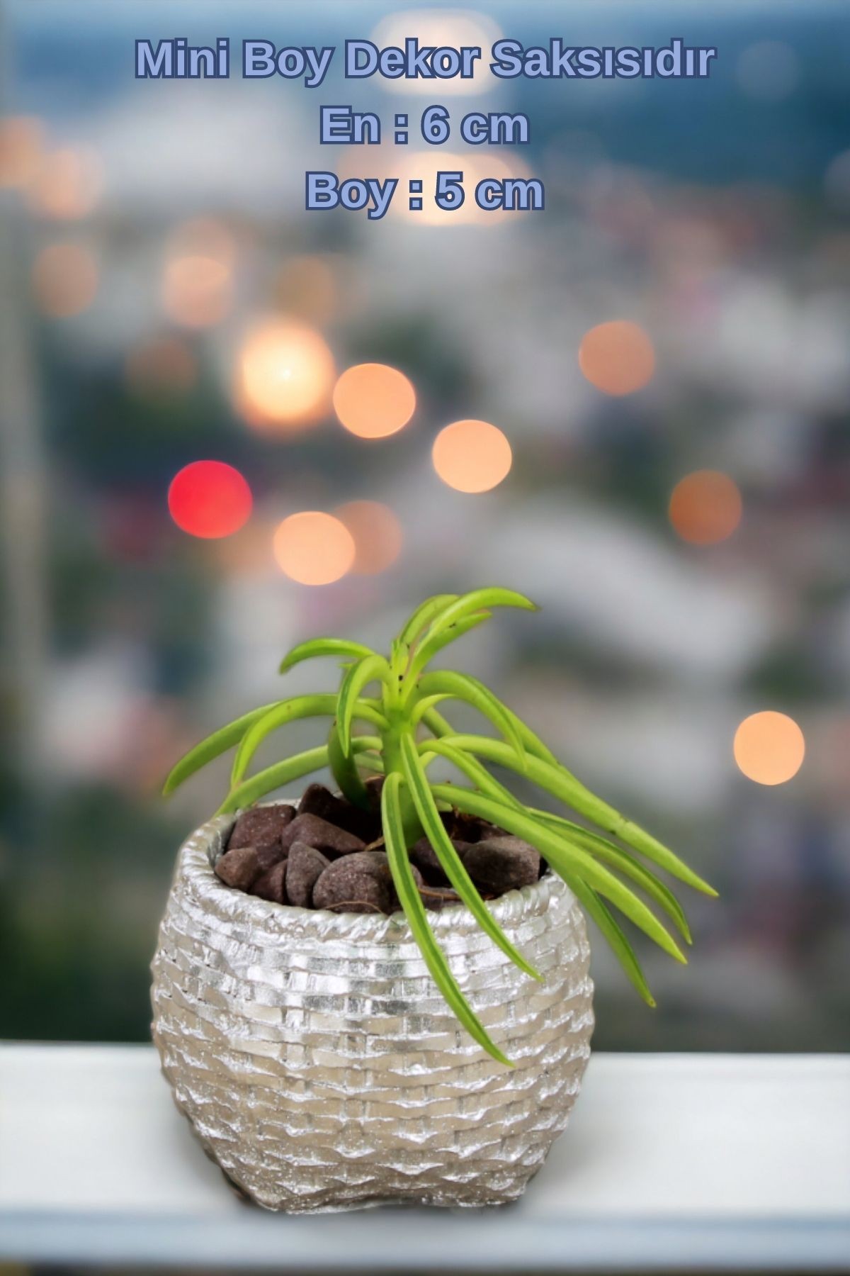 Gümüş thumbnail image
