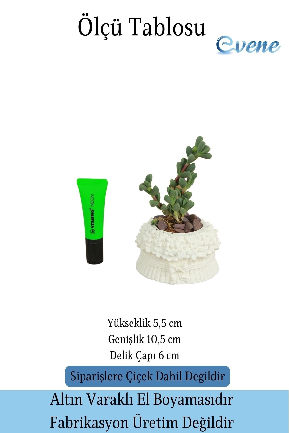 Mini Çiçek Saksı Küçük Sukulent Beyaz Kaktüs Saksısı Çiçekli Fiyonklu Model
