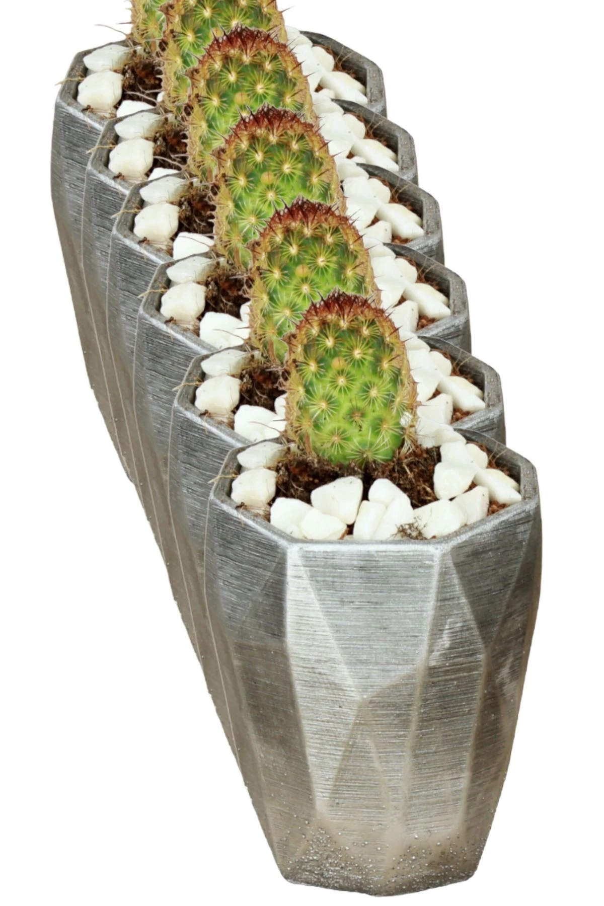 GÜMÜŞ ESKİTME thumbnail image