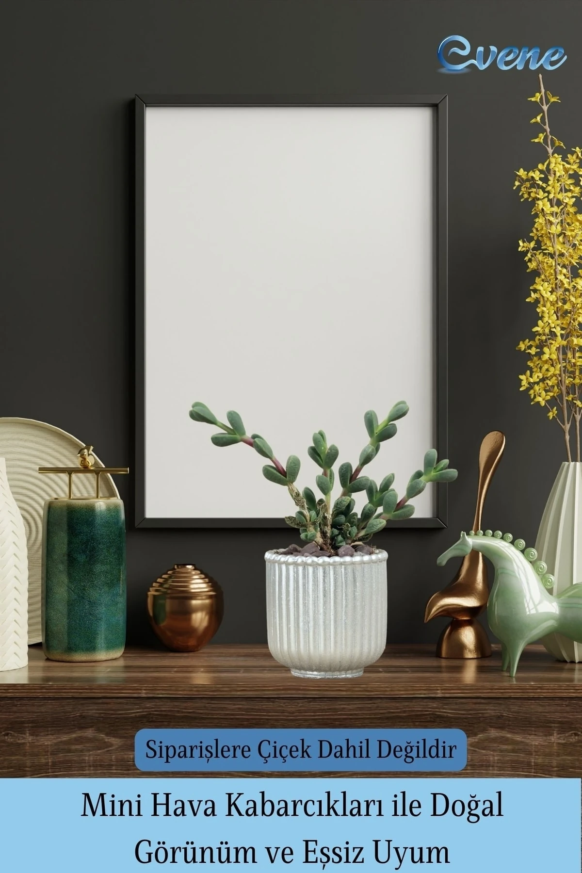 Mini Çiçek Saksı Küçük Sukulent Gümüş Kaktüs Saksısı 3'lü Set Vintage Düz Çizgili Model