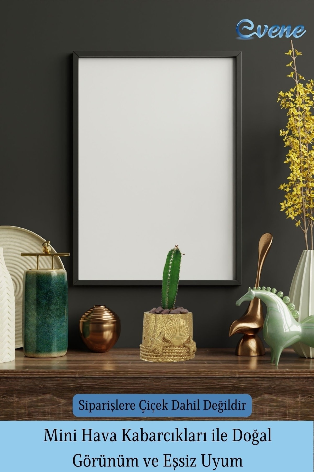Mini Çiçek Saksı Küçük Sukulent Beyaz Kaktüs Saksısı Deniz Yıldızlı Kabuklu Model