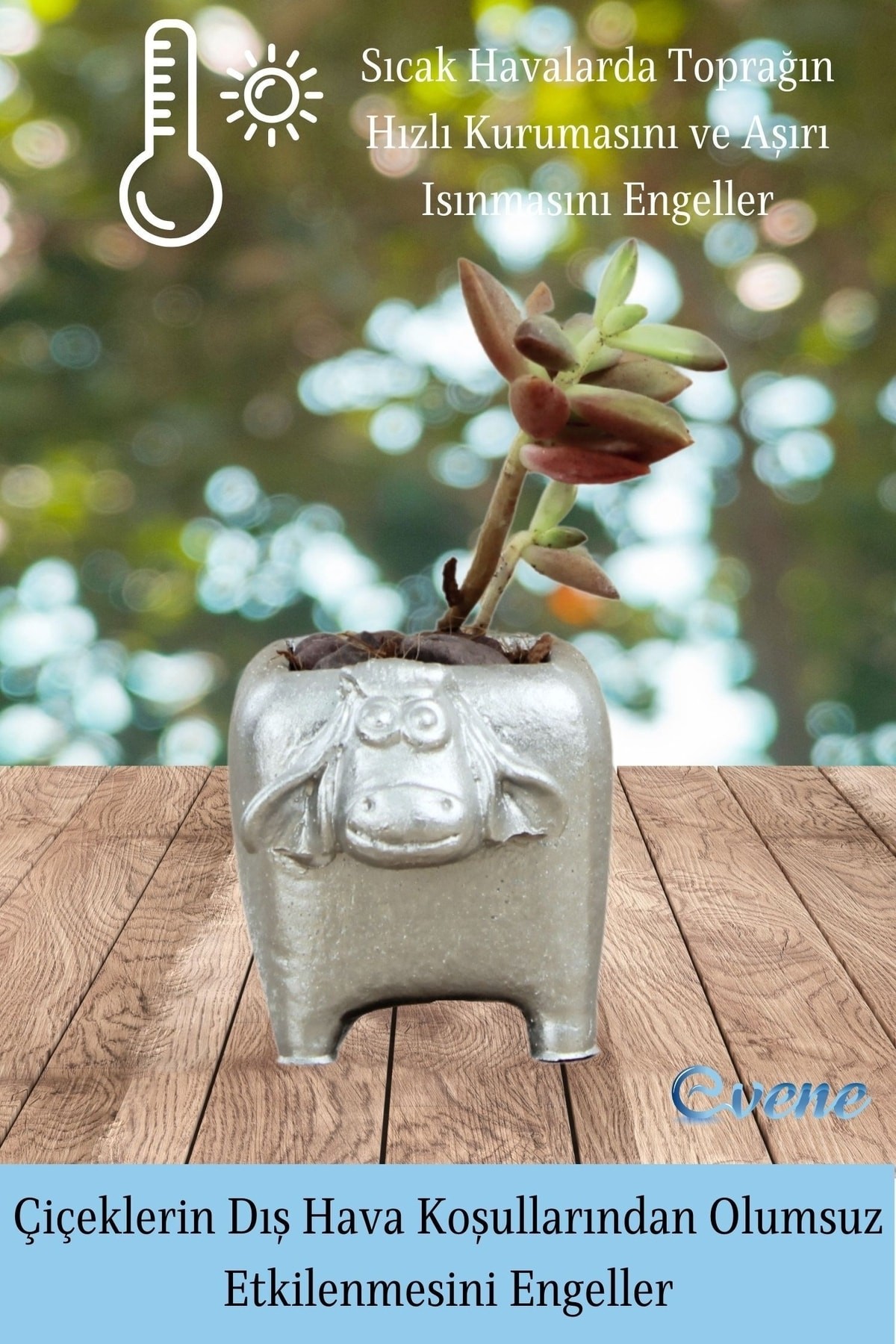 Mini Çiçek Saksı Küçük Sukulent Gümüş Kaktüs Saksısı 3'lü Set Mini İnek Model