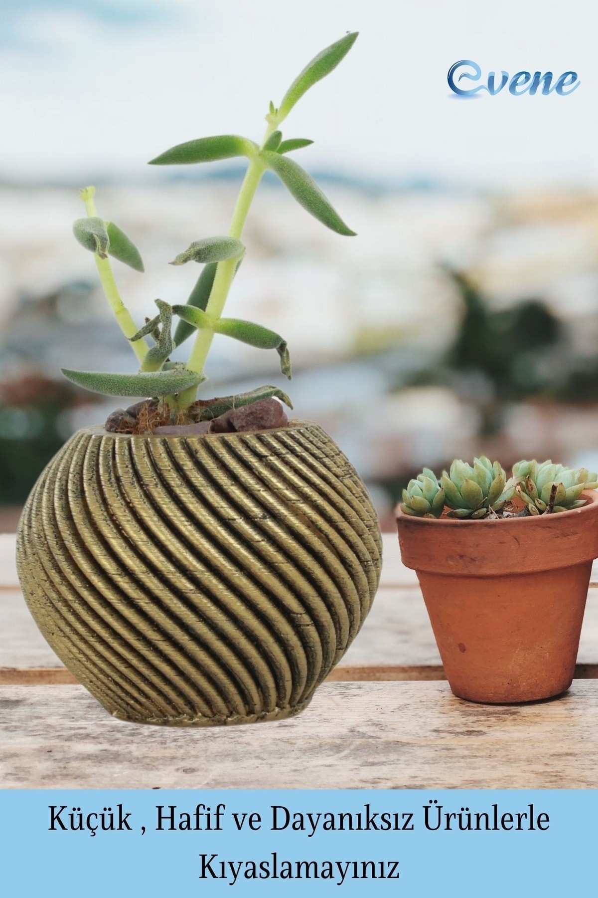 Mini Çiçek Saksı Küçük Sukulent Altın Eskitme Kaktüs Saksısı İnce Çizgili Spiral Model