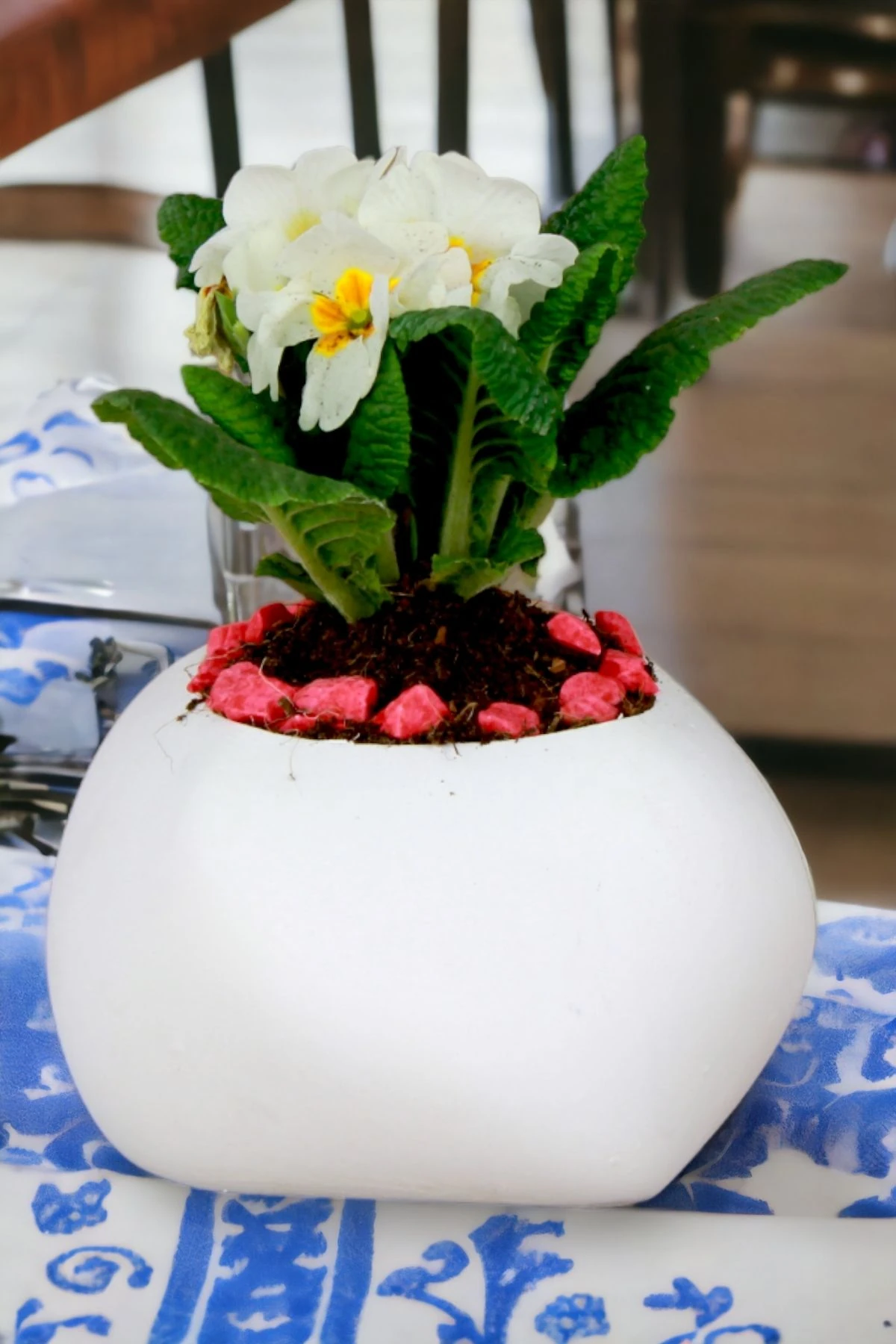 Beyaz thumbnail image