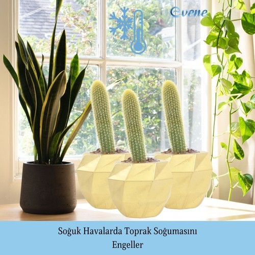 Evene Saksı Çiçek Kaktüs Saksısı Lüx 15 cm Boyalı Burgulu Desen Saksı 2li Set Çiçeklik